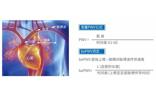 脈搏波速測定儀